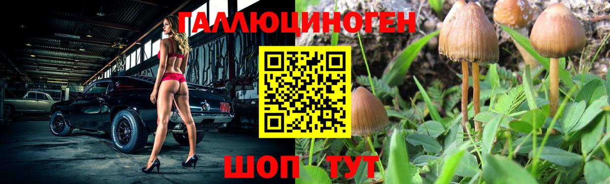 Реж  Галлюциногенные грибы GOLDEN TEACHER  Вход с VPN 